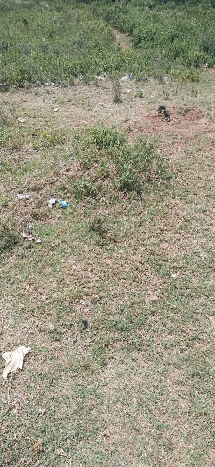 Land in Thome