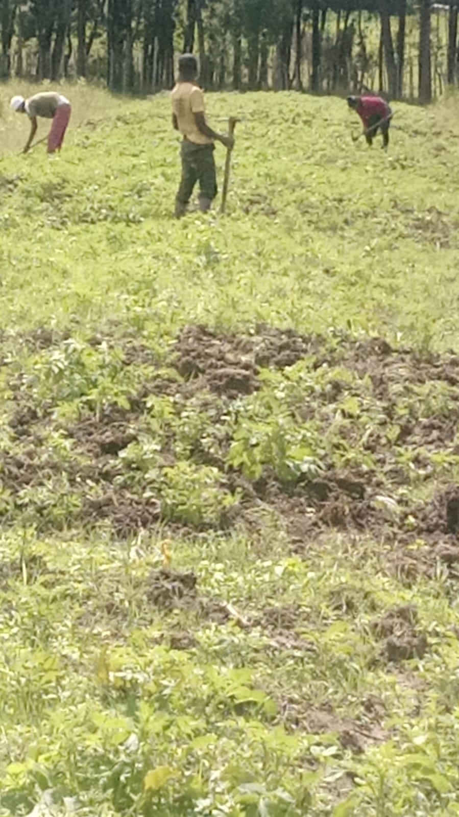 Land in NYS