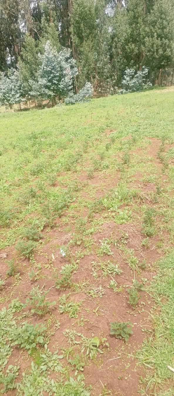 Land in NYS