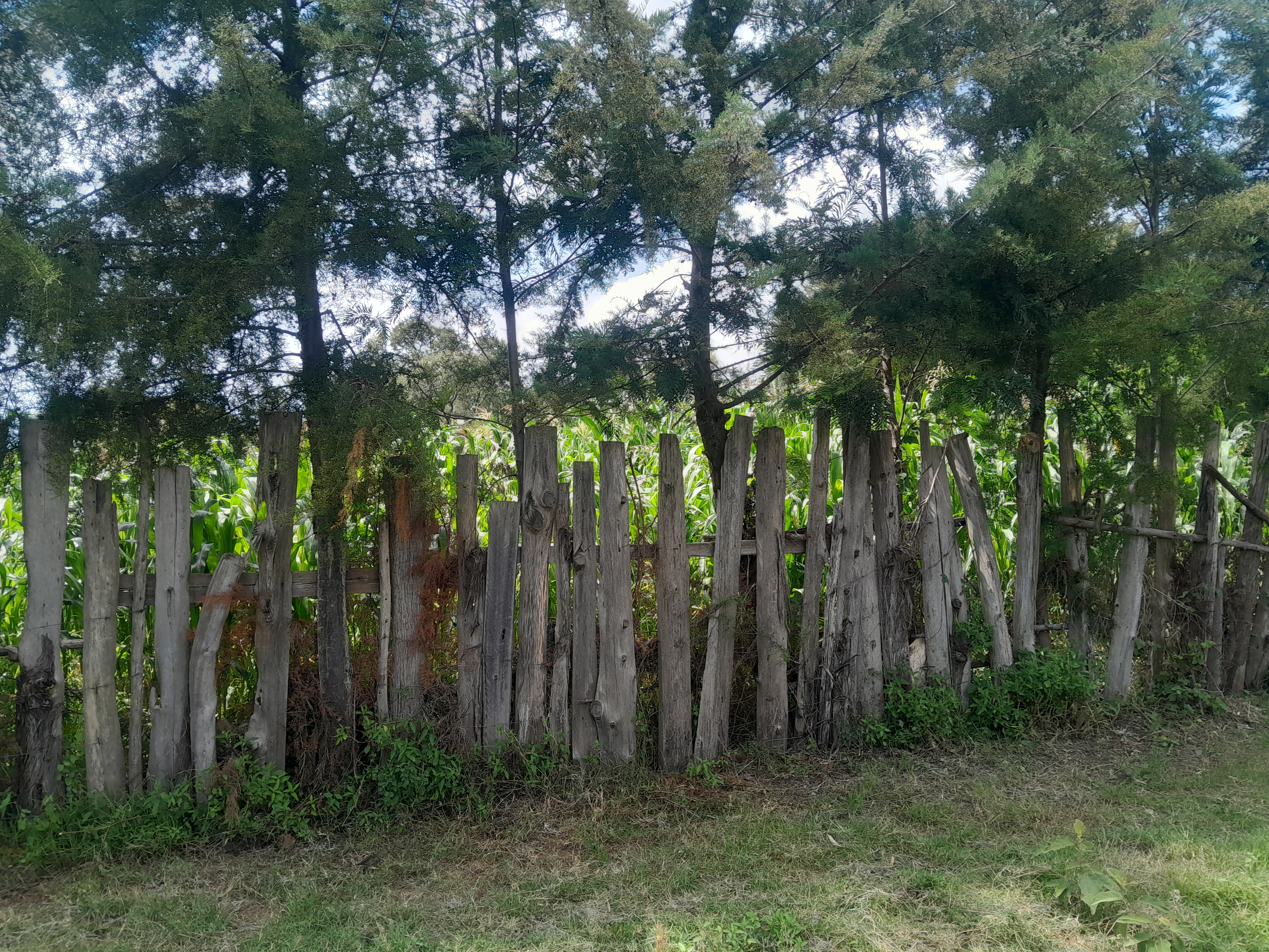 Land in Nakuru - Gilgil - Langa
