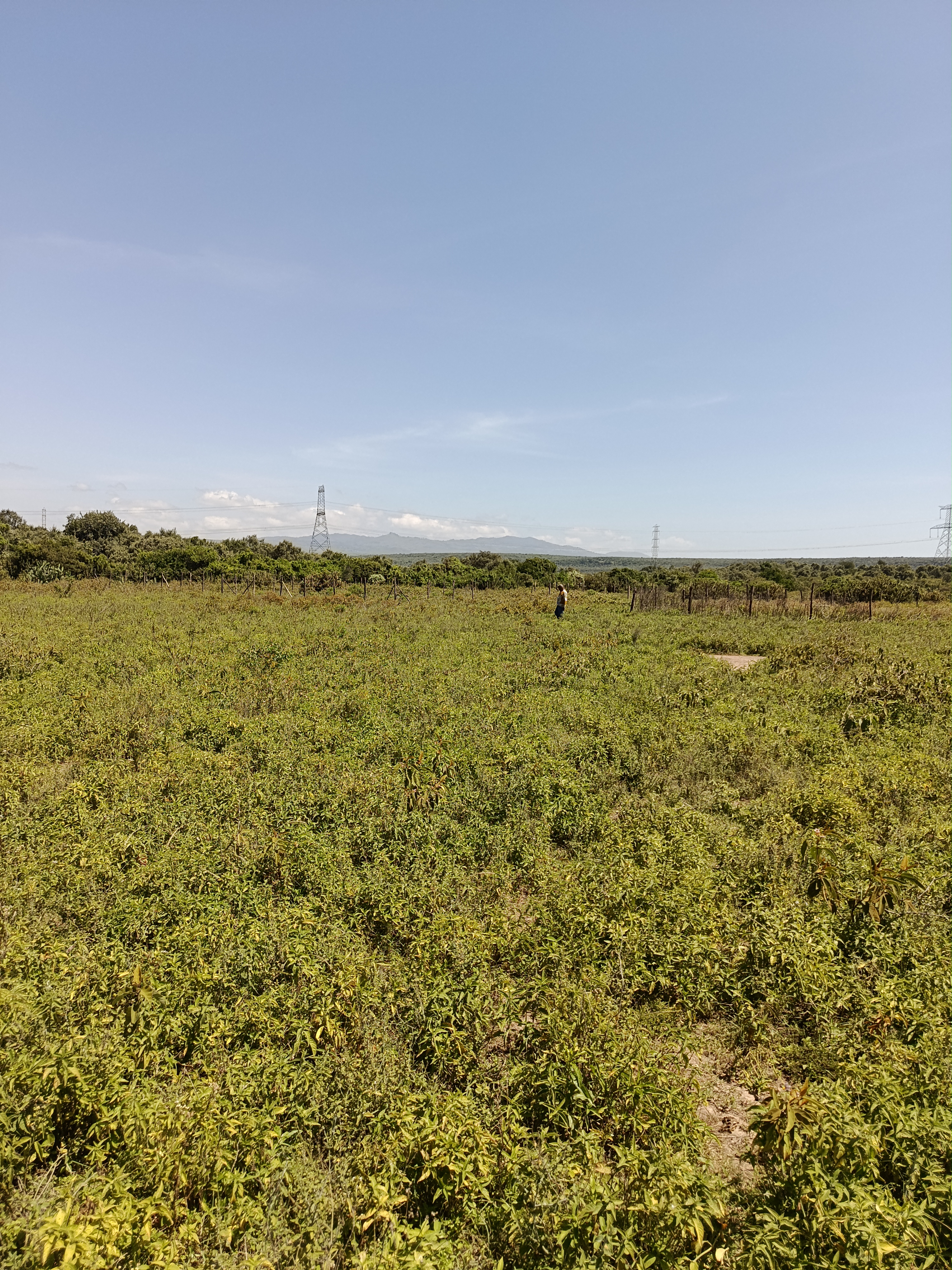 Land in Nakuru - Gilgil - Langa