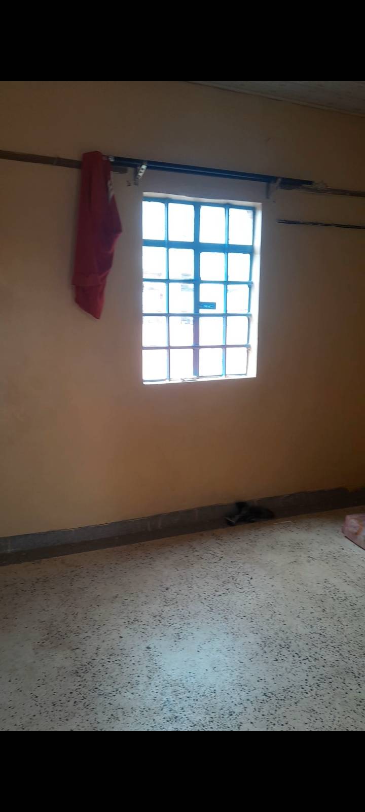 Room Image 5